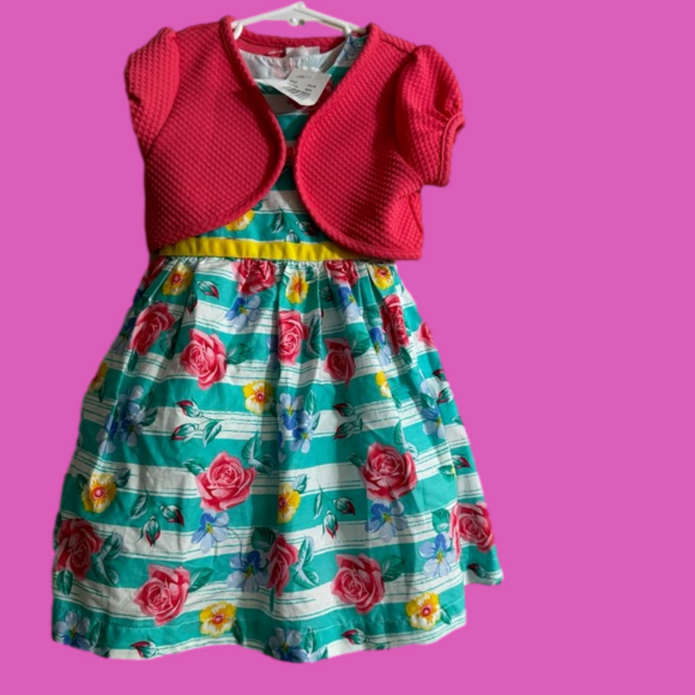 Nannette Summer Floral Dress